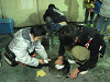 sinnen (277)_samu.gif